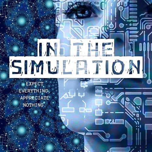 In The Simulation by OK BLACKSMITH 1556