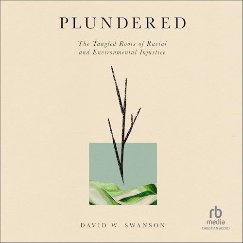Plundered by David W. Swanson