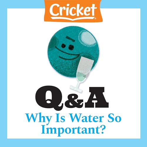 Why Is Water So Important?