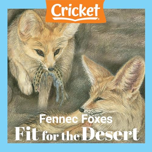 Fennec Foxes Fit for the Desert