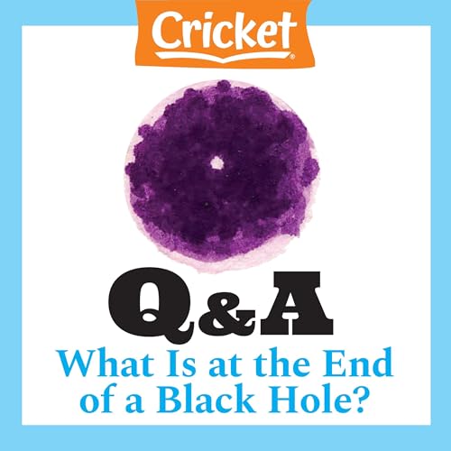 What Is at the End of a Black Hole?
