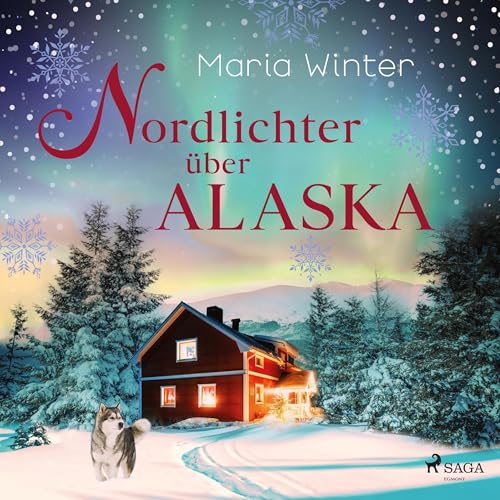 Nordlichter über Alaska - oder: Huskyküsse zu Weihnachten