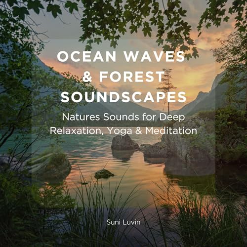 Ocean Waves & Forest Soundscapes