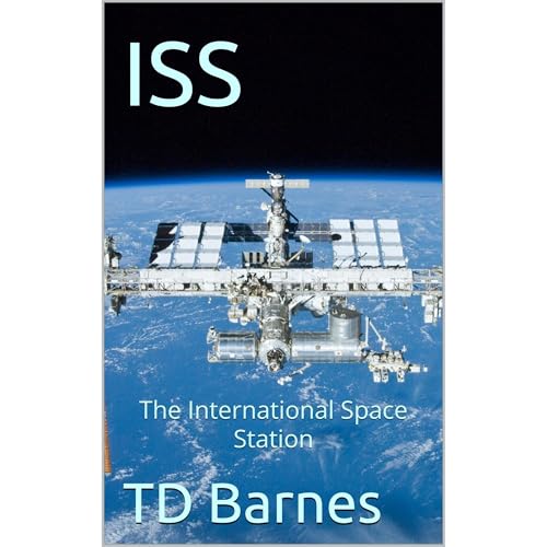 ISS by TD Barnes