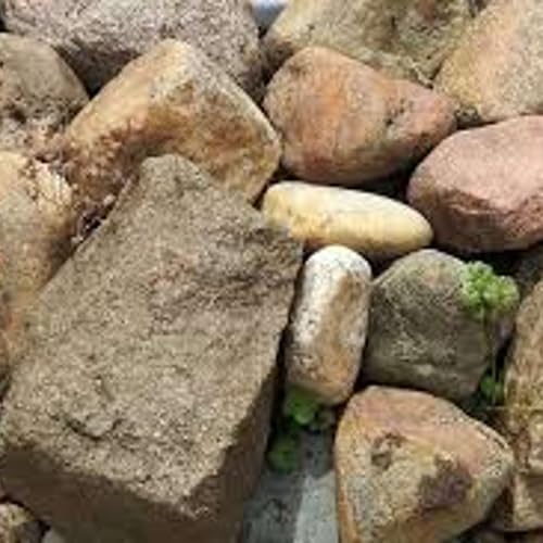 Episode 163 "The Lottery" by Shirley Jackson Read by Erin