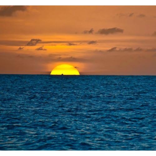 Exploring the Multiverse: Philosophy to Science by Infinite Insights SM