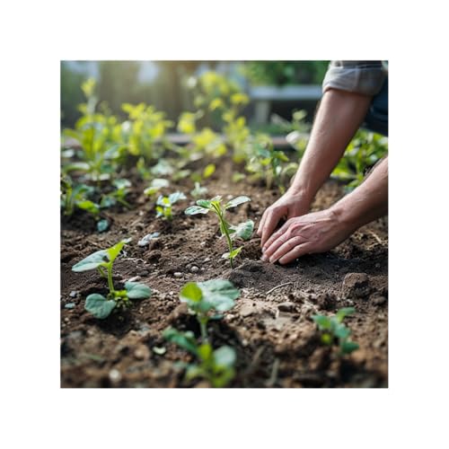 Small Steps, Big Changes: Hacking your Growth by Aion