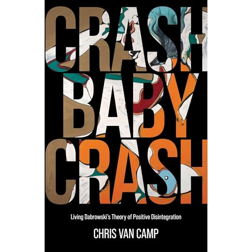 Crash Baby Crash by Chris Van Camp
