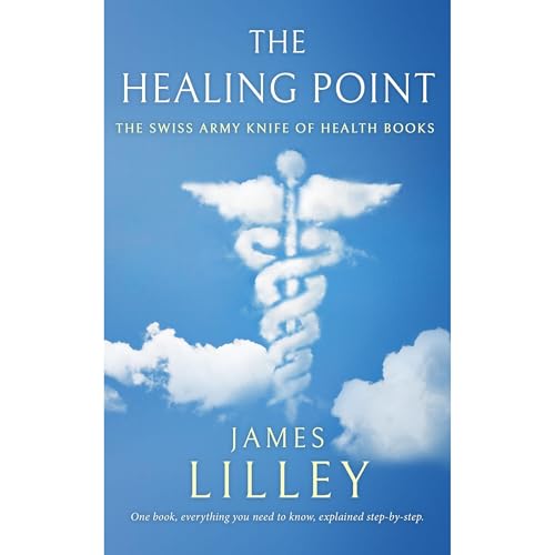 THE HEALING POINT by James Lilley