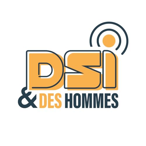 DSI et des Hommes by Nicolas BARD