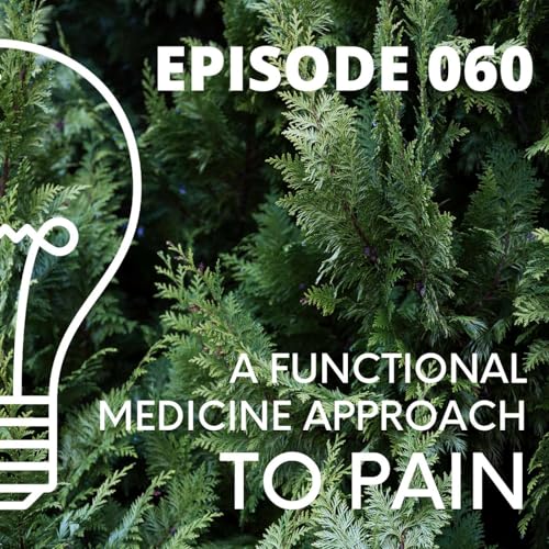 060 - A Functional Medicine Approach to PAIN by Unknown