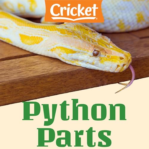 Python Parts by Amy Tao