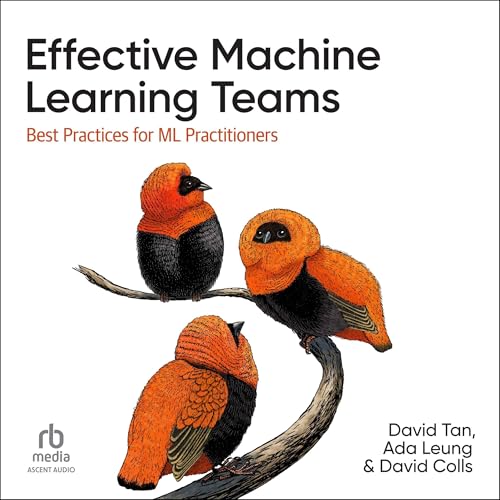 Effective Machine Learning Teams by David Colls
