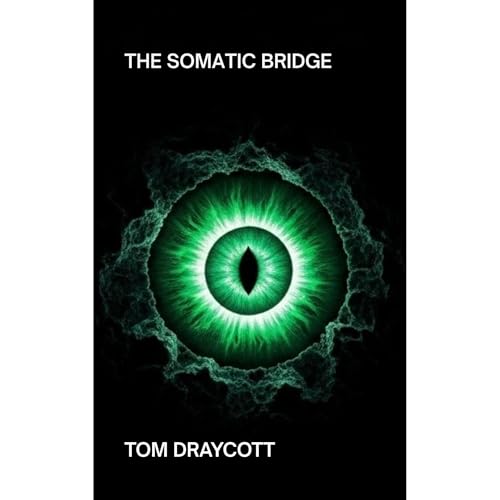 The Somatic Bridge by Tom Draycott