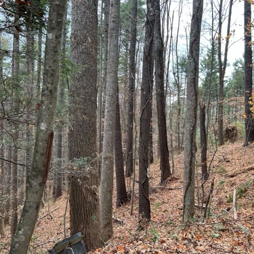 Armoring Up for the Marathon Ahead! by Unknown