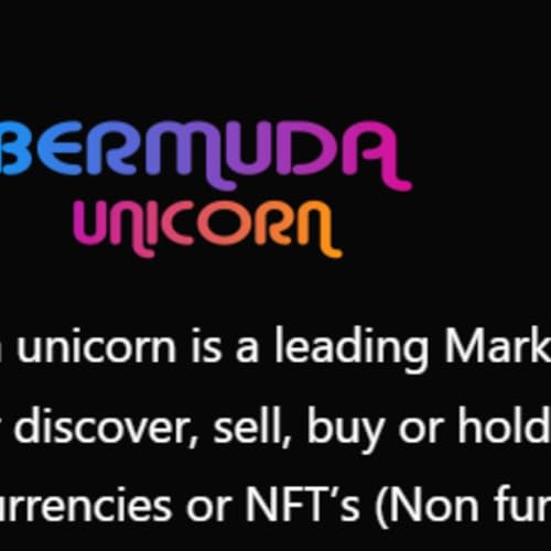 Adam Button NFT Insights by saeedullah shah