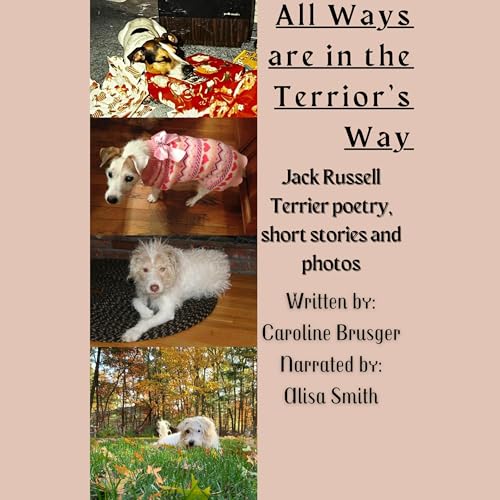 All Ways Are in the Terrier's Way