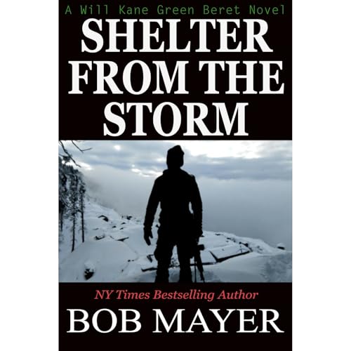 Shelter From The Storm