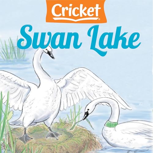 Swan Lake by Buffy Silverman