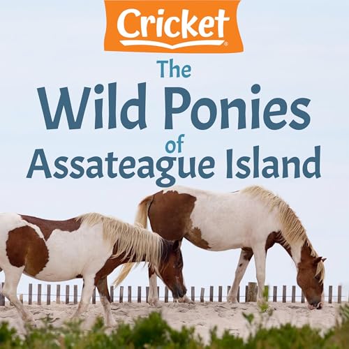 The Wild Ponies of Assateague Island