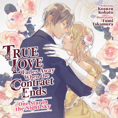 One Star in the Night Sky (Light Novel)