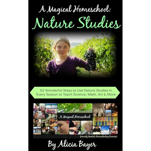 A Magical Homeschool: Nature Studies