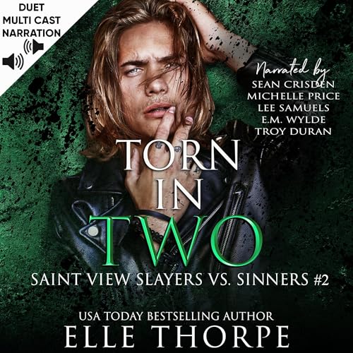 Torn in Two by Elle Thorpe