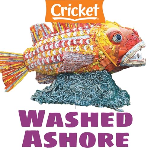 Washed Ashore by Liz Huyck