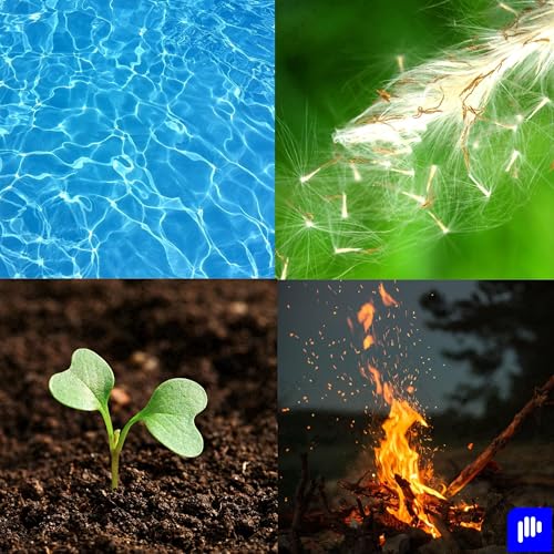 ASMR مقاطع صوتية غامرة - رسوم متحركة مرضية للنوم والاسترخاء والقلق والإجهاد، by Immersive Soundscapes