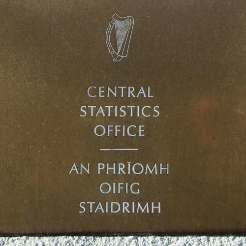 New findings from the Central Statistics Office CSO by Unknown
