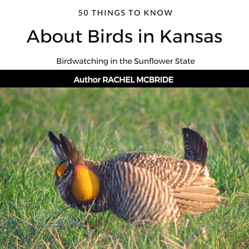 50 Things to Know About Birds in Kansas: Birdwatching in the Sunflower State
