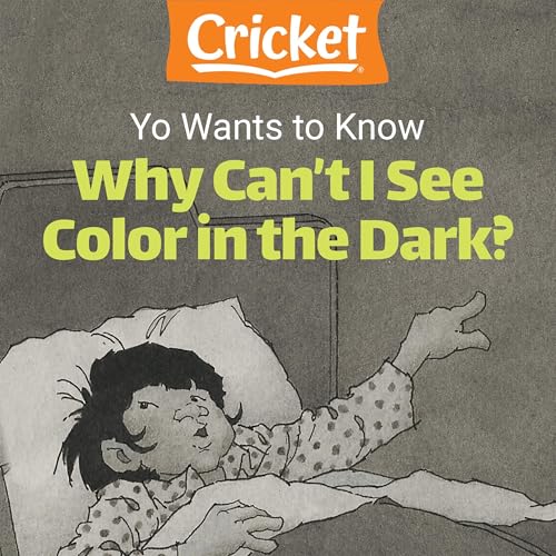 Yo Wants to Know: Why Can't I See Color in the Dark?