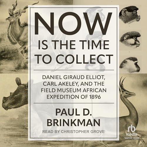 Now Is the Time to Collect by Paul D. Brinkman