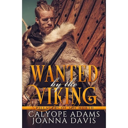 Wanted By The Viking