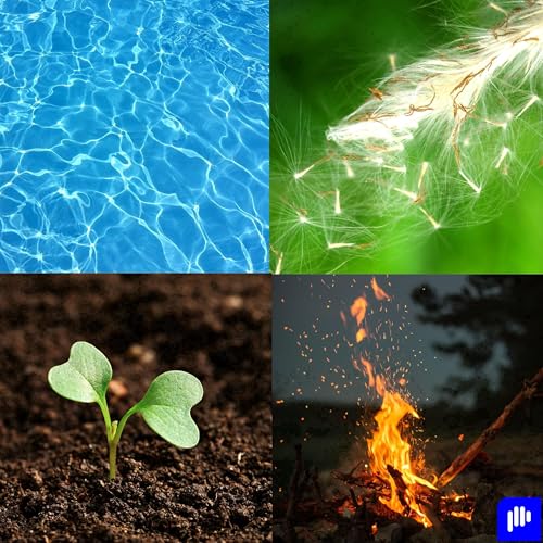 Paisajes sonoros envolventes: ASMR para dormir, relajarse, ansiedad y el estrés