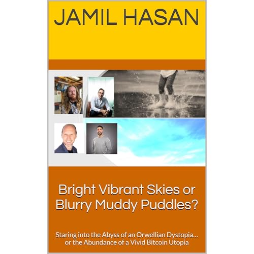 Bright Vibrant Skies or Blurry Muddy Puddles? by Jamil Hasan