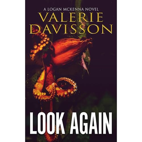 LOOK AGAIN by Valerie Davisson