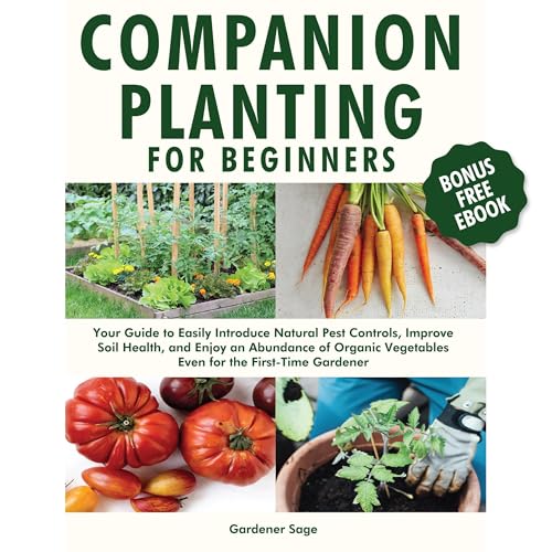 Companion Planting for Beginners