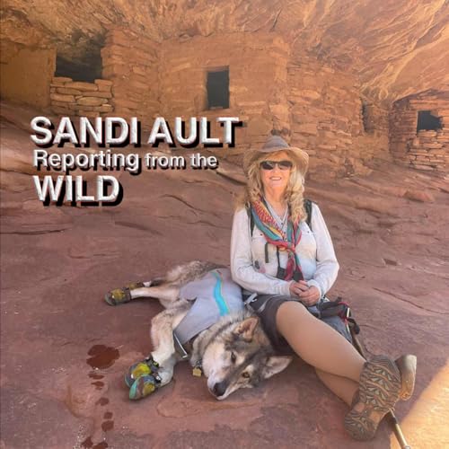 SANDI AULT—Reporting from the WILD by Sandi Ault
