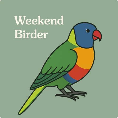 100 Birdwatching Slang with Cesar, Kylie, Sean and Steph by Unknown