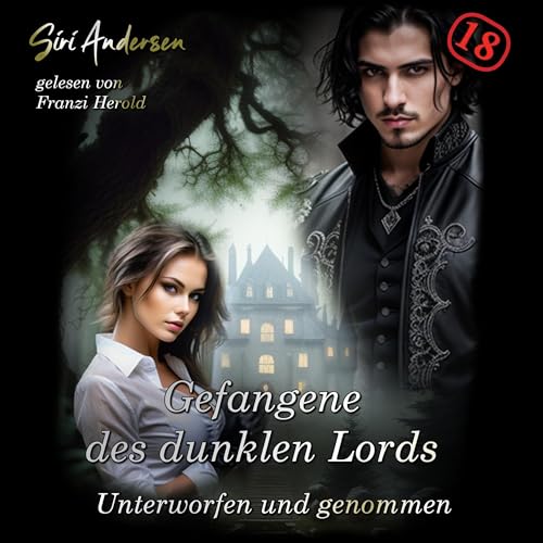 Gefangene des dunklen Lords [Prisoner of the Dark Lord] by Siri Andersen