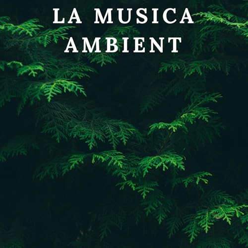 La musica ambient
