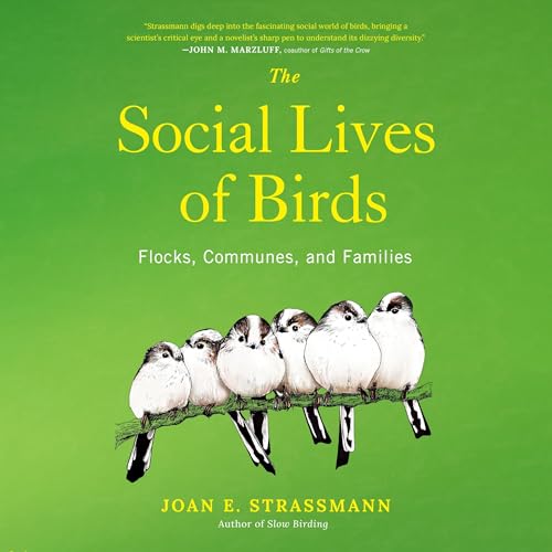 The Social Lives of Birds