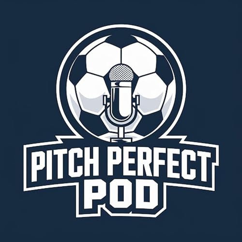Pitch Perfect by Youssef and Soumil
