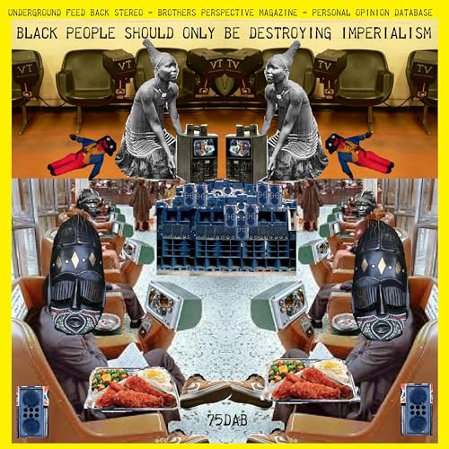 Underground Feed Back Stereo - Brothers Perspective Magazine - Personal Opinion Database - black people should only be destroying imperialism by Unknown