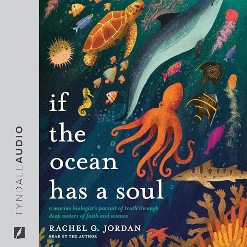 If the Ocean Has a Soul by Rachel G. Jordan