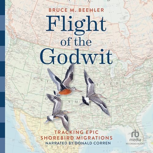 Flight of the Godwit