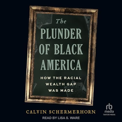 The Plunder of Black America