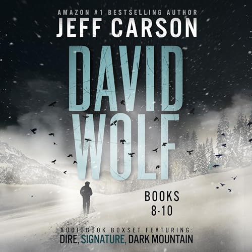 The David Wolf Mystery Thriller Series, Books 8-10