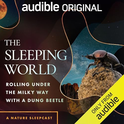 The Sleeping World: Rolling Under the Milky Way with a Dung Beetle